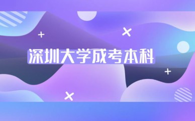 深圳大學(xué)成考本科英語(yǔ)專業(yè)培訓(xùn)班課程