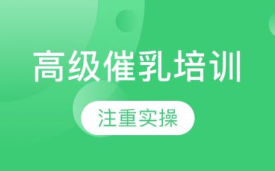 深圳高級(jí)催乳培訓(xùn)班課程