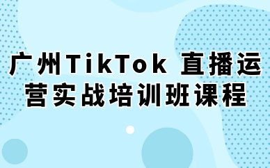 廣州TikTok 直播運(yùn)營(yíng)實(shí)戰(zhàn)培訓(xùn)班課程