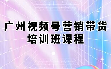 廣州視頻號(hào)營(yíng)銷(xiāo)帶貨培訓(xùn)班課程